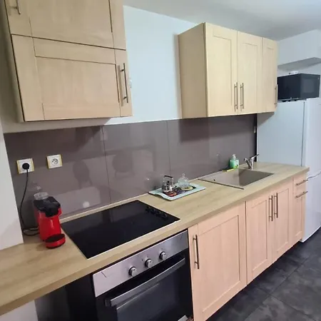 公寓 Entre Colmar Et Strasbourg 塞莱斯塔