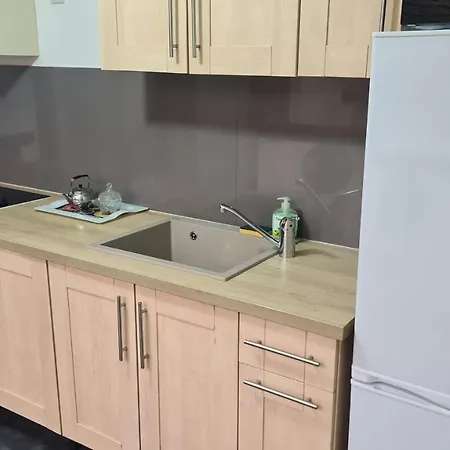 Entre Colmar Et Strasbourg 塞莱斯塔