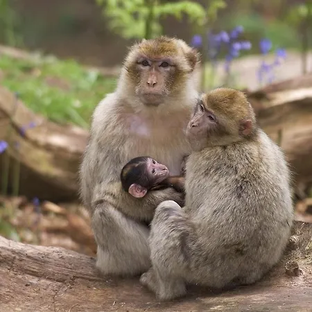 Entre Colmar Et Strasbourg *